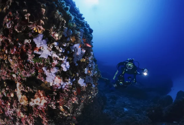 SPAIN, Mediterranean Sea, Ibiza Island, U.W. photo; 13 June 2006, scuba diver and Sponges (FILM SCAN) - EDITORIAL — Stock Photo, Image