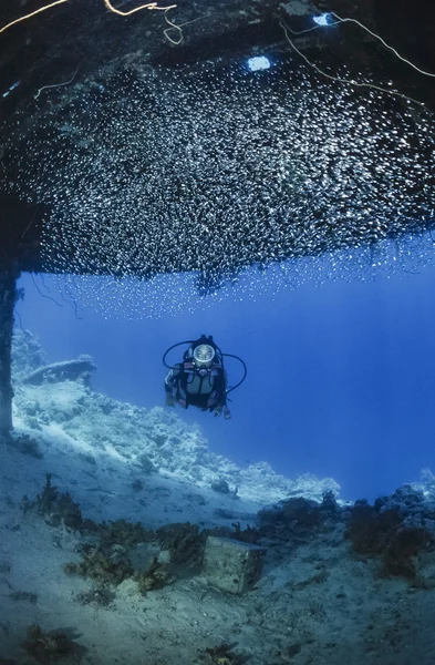 Soedan, rode zee, Sha'ab Rumi,U.W. foto; 16 November 2001 Cousteau Precontinent 2 structuur, gebruikt in 1960 bij het bestuderen van haaien gedrag (Film scannen) - redactie — Stockfoto