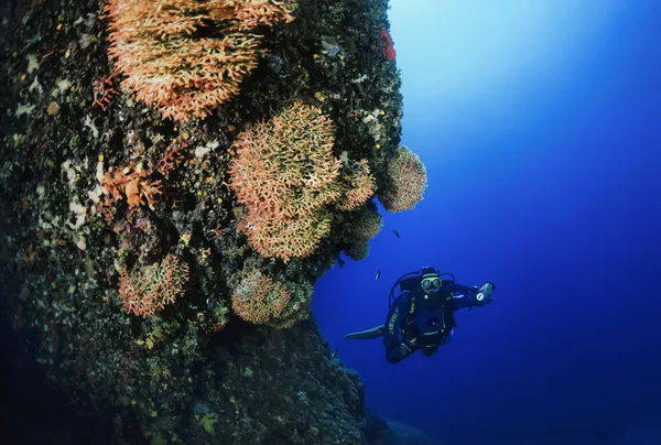 ESPANHA, Mar Mediterrâneo, Ilha de Ibiza, U.W. foto; 13 Junho 2006, mergulhador (FILM SCAN) - EDITORIAL — Fotografia de Stock