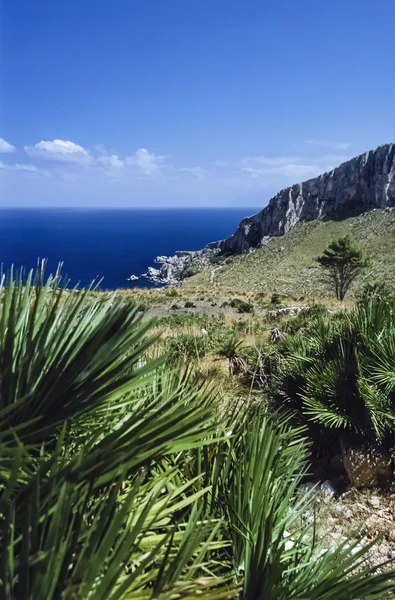Italië, Sicilië, Tyrrheense Zee, uitzicht op de rotsachtige kustlijn in de buurt van S.Vito Lo Capo (Trapani) - Film scannen — Stockfoto