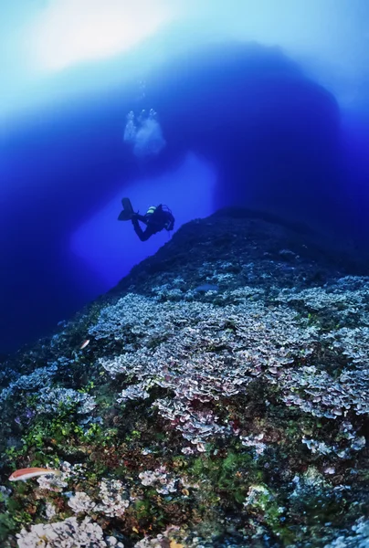 Spanje, Middellandse Zee, Ibiza eiland, U.W. foto, scuba diver - Film scannen — Stockfoto