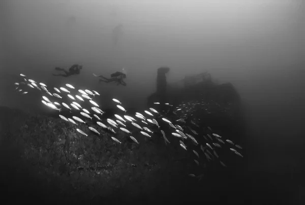 이탈리아, 지중해, U.W. 사진, 난파선 다이빙, 침 몰 한 화물선-필름 스캔 — 스톡 사진