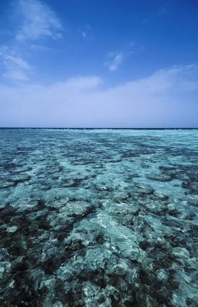 SUDAN, Red Sea, Sanghaneb Reef, view of the coral reef  - FILM SCAN — Stock Photo, Image