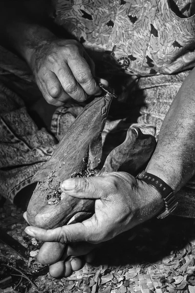 Fiji-eilanden, Viti Levu Isl., Fijian man snijwerk van tropisch hout te maken van een dolfijn staue - Film scannen — Stockfoto