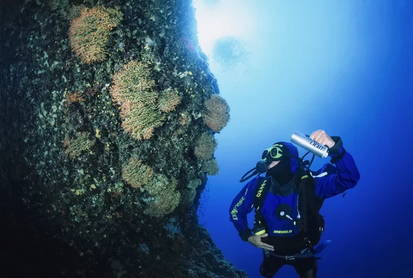 Španělsko, Středozemní moře, na ostrově Ibiza, U.W. Foto; 13. června 2006, scuba diver (Film Scan) - Editorial — Stock fotografie