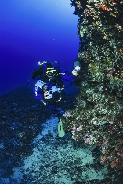 SPAIN, Mediterranean Sea, Ibiza Island, U.W. photo; 13 June 2006, underwater photographer (FILM SCAN) - EDITORIAL