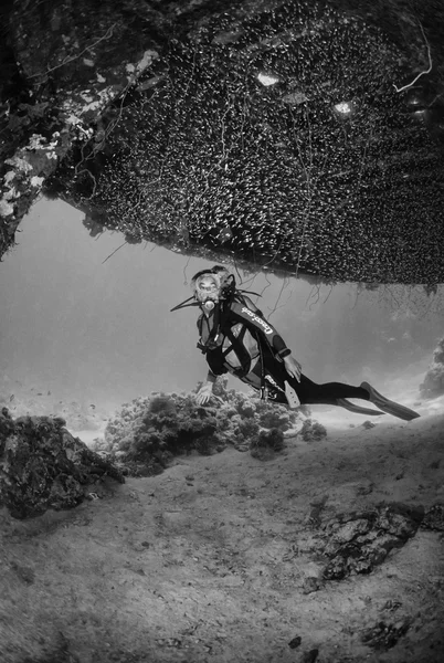 SUDÃO, Mar Vermelho, Sha 'ab Rumi, U.W. foto; 16 Novembro 2001, Cousteau Precontinent 2 estrutura, usado em 1960 para estudar o comportamento dos tubarões (FILM SCAN) - EDITORIAL — Fotografia de Stock
