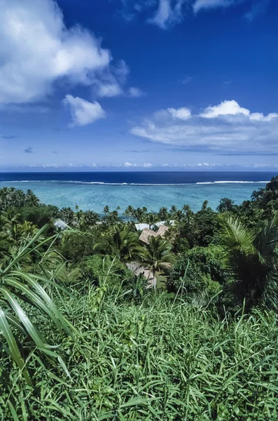 Fiji Islands, Viti Levu Island, view of tropical vegetation and coral reef in the Pacific ocean - FILM SCAN — Stock Photo, Image