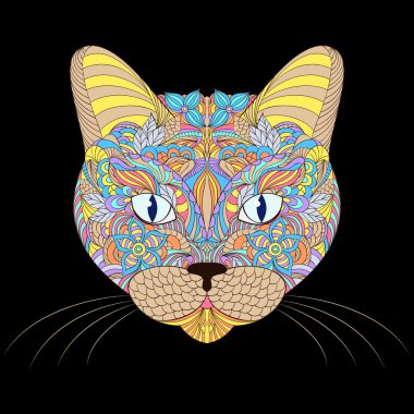 kedi siyah arka plan üzerine başkanı