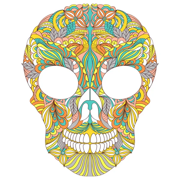 Floral skull on white background. — Stock Vector