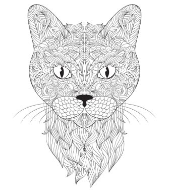 kedi beyaz arka plan üzerinde başkanı