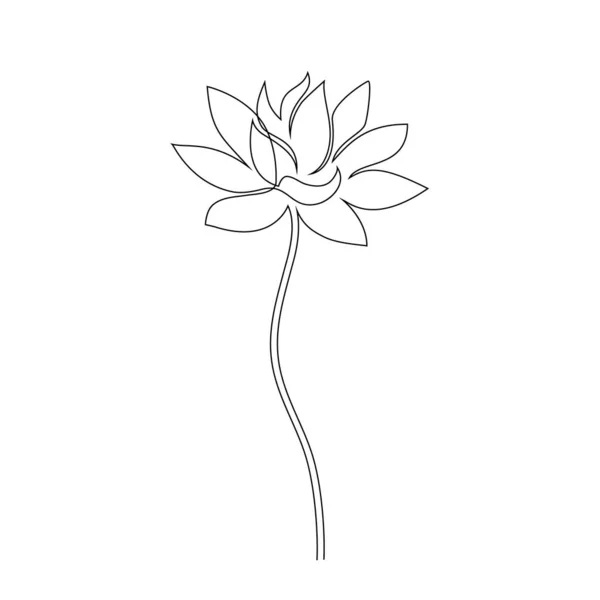 Lotus flower on white — Stock Vector