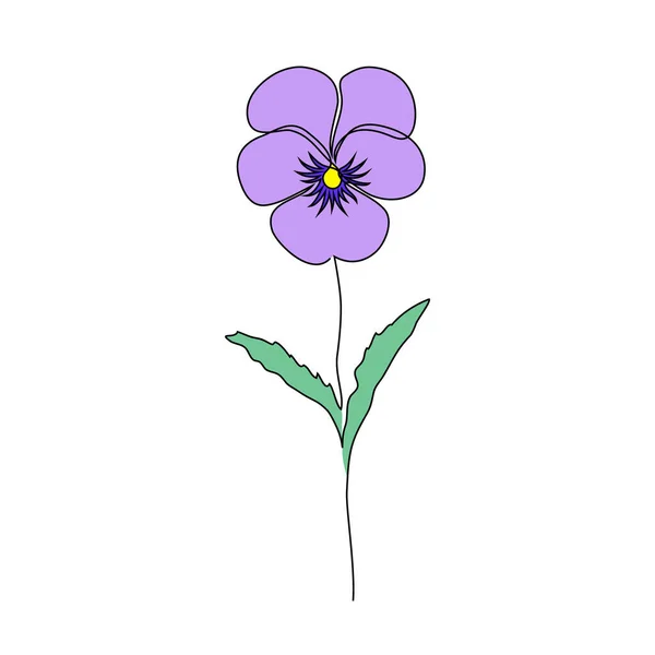 Violette bloem op wit — Stockvector