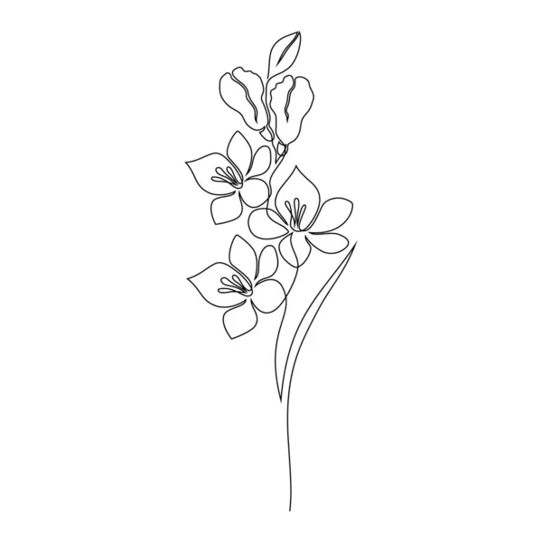 Цветок фризии на белом — стоковый вектор