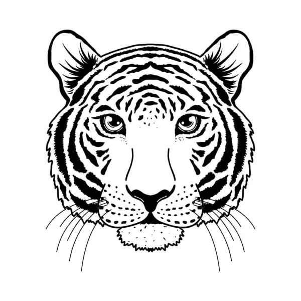 Tigre focinho no branco — Vetor de Stock