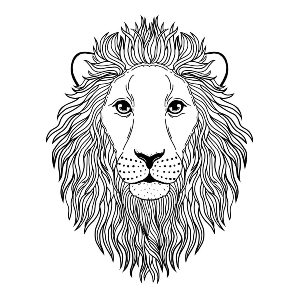 Muso di leone su bianco — Vettoriale Stock
