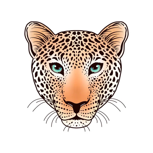 Дуло леопарда на білому — стоковий вектор