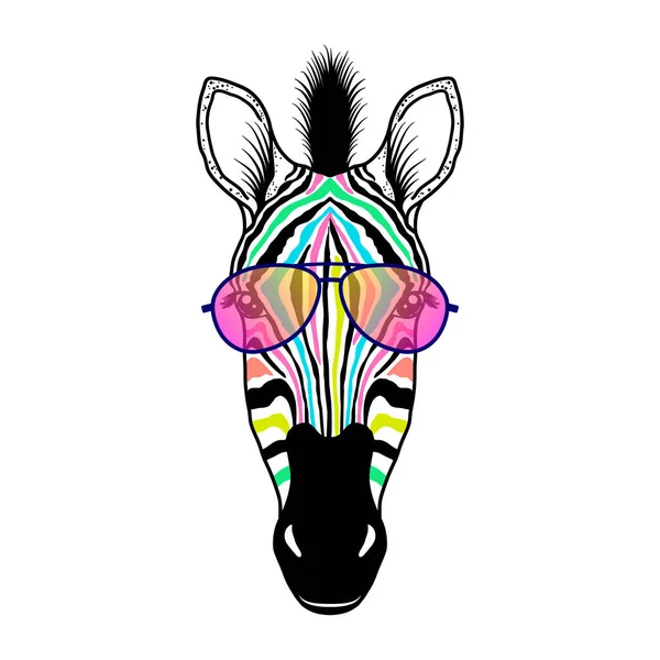 Hlava zebra se slunečními brýlemi — Stockový vektor