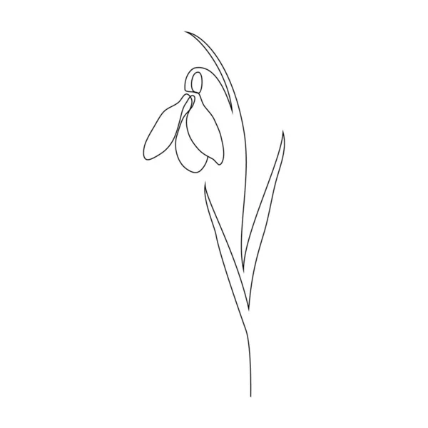 Snowdrop fleur dans le style d'art de ligne. — Image vectorielle