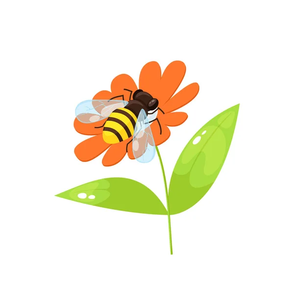 Biene im Cartoon-Stil — Stockvektor