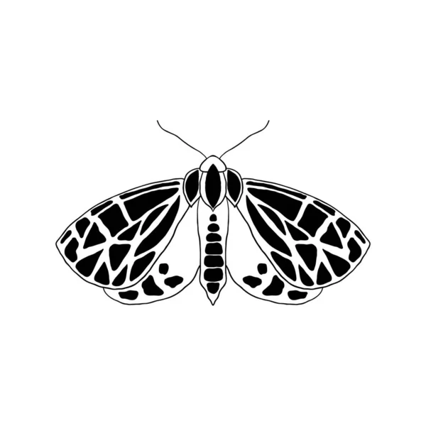 Moth in doodle style — Stock Vector