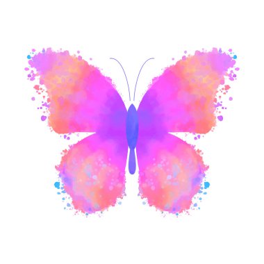 Suluboya renkli kelebek