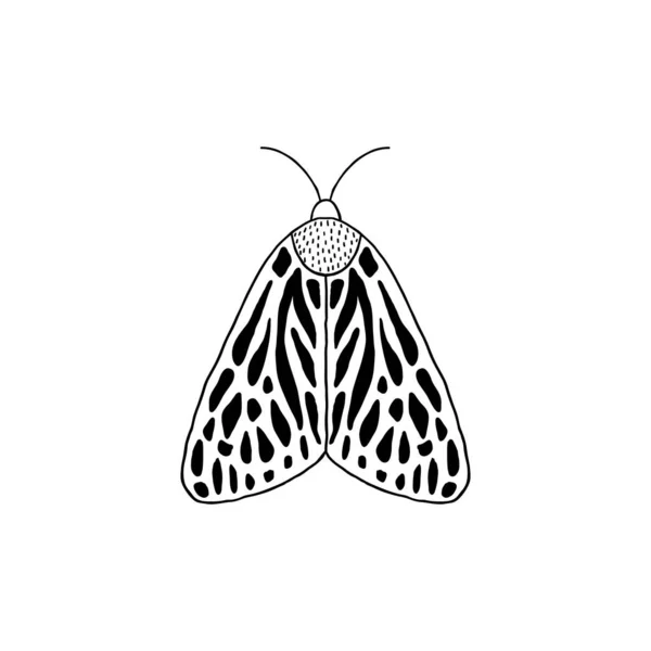 Papillon de nuit dans le style doodle — Image vectorielle