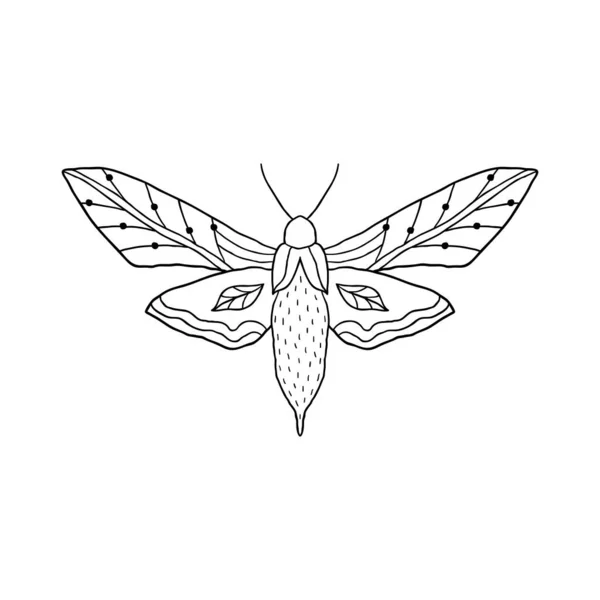 Schmetterling im Doodle-Stil — Stockvektor