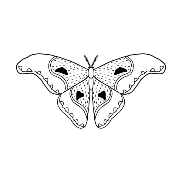 Mariposa en estilo doodle — Archivo Imágenes Vectoriales