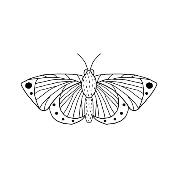 Papillon dans le style doodle — Image vectorielle