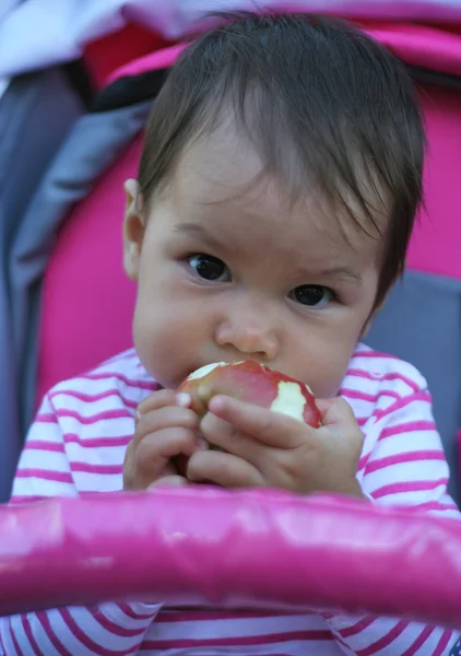 Portrait of the eight-months  girl — Stock Photo, Image