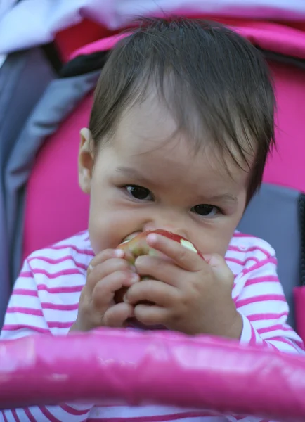 Portrait of the eight-months  girl — Stock Photo, Image