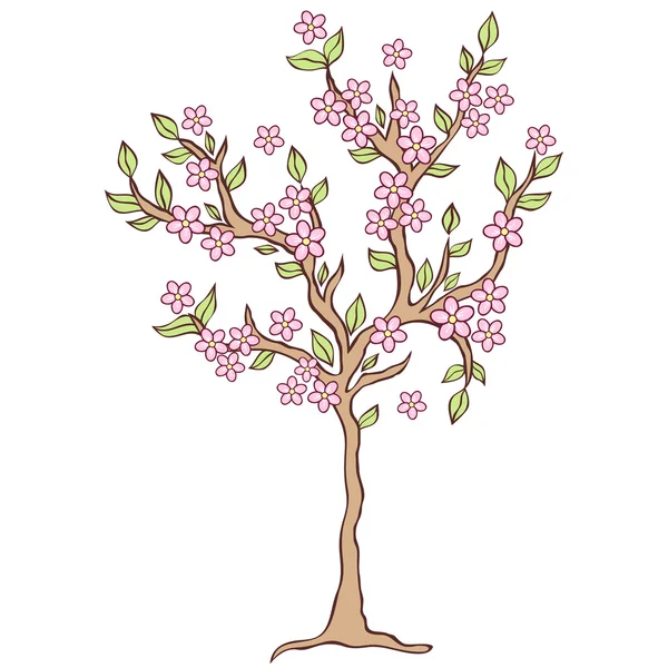 Árbol de primavera sobre fondo blanco — Archivo Imágenes Vectoriales