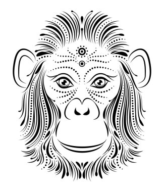 maymun beyaz arka plan üzerinde