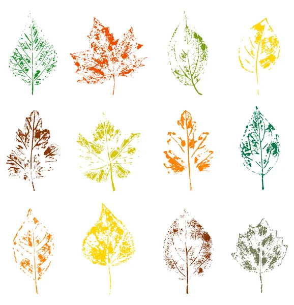 Löv på vit bakgrund — Stock vektor