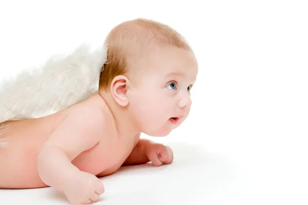 4ヶ月の赤ん坊の肖像画 ストック写真