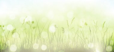 Çim, gökyüzü ve bulanık ışık d yeşil bahar bokeh arka plan