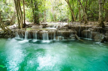 sonbahar ormandaki inanılmaz Tayland şelale