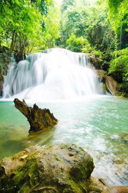 sonbahar ormandaki inanılmaz Tayland şelale