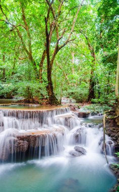 sonbahar ormandaki inanılmaz Tayland şelale