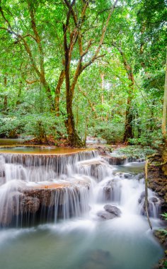 sonbahar ormandaki inanılmaz Tayland şelale