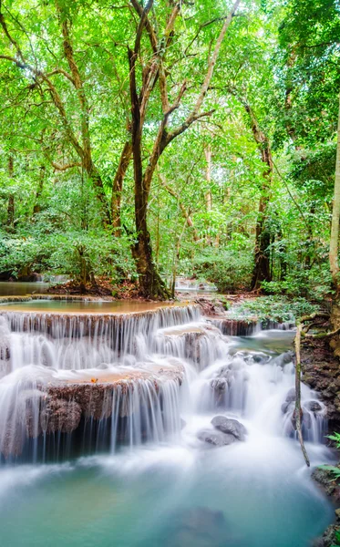 sonbahar ormandaki inanılmaz Tayland şelale