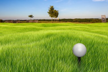 Golf topu sahada.