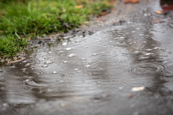 Wassertropfen in einer Pfütze — Stockfoto