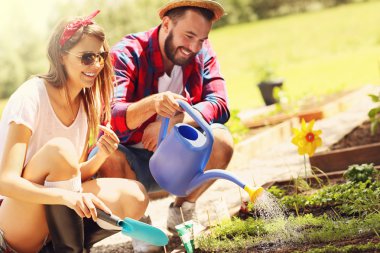 Organik sebze dikimi Çift