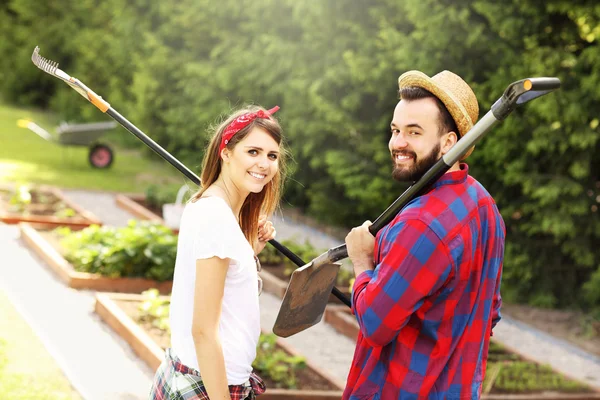 Couple working in the garden — Stock Photo, Image