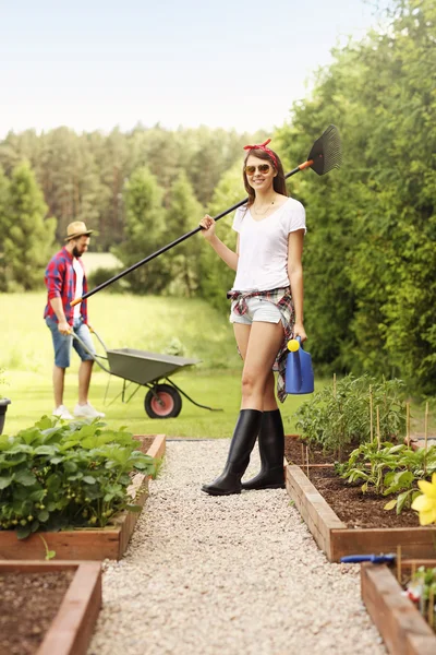 Couple working in the garden — Stock Photo, Image