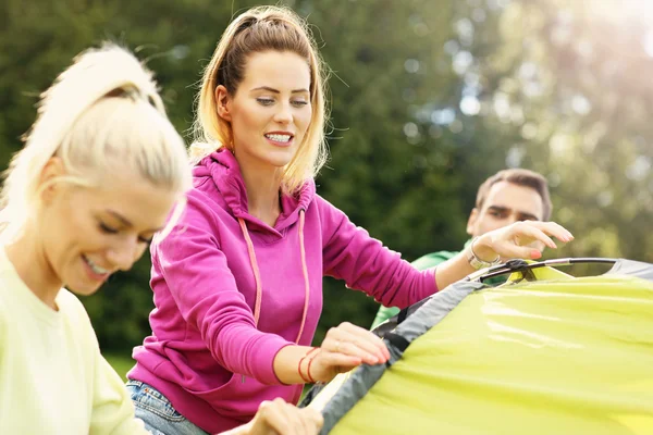 Group of friends putting up tent — Stock Photo, Image