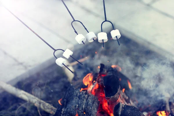 Ομάδα φίλων προετοιμασία marshmallow στην πυρά προσκόπων — Φωτογραφία Αρχείου