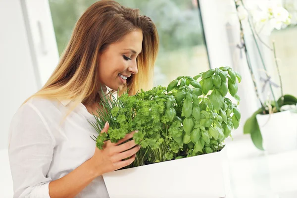 F young woman with herbs — Stock Photo, Image